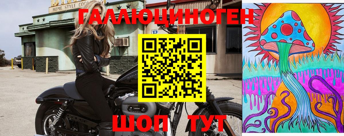 Псилоцибиновые грибы Psilocybine cubensis  Вход с VPN  купить наркоту  Канск  Псилоцибиновые грибы мицелий 